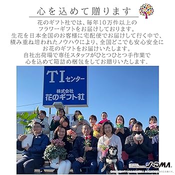 Amazon.co.jp: 花のギフト社 リーガース ベコニア 花 ギフト